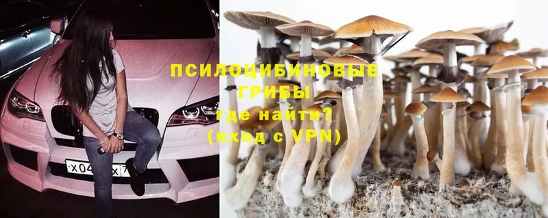 Псилоцибиновые грибы Magic Shrooms  Новоаннинский 